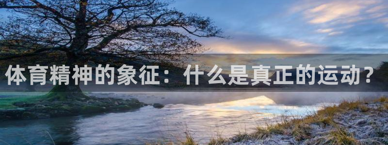 拳皇98体育队