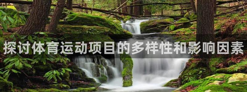 98体育官网