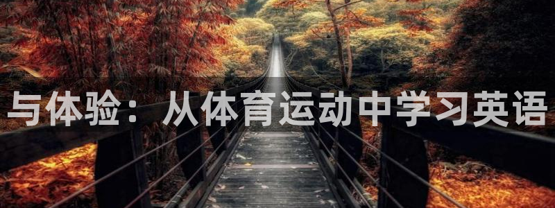 98体育直播免费的平台