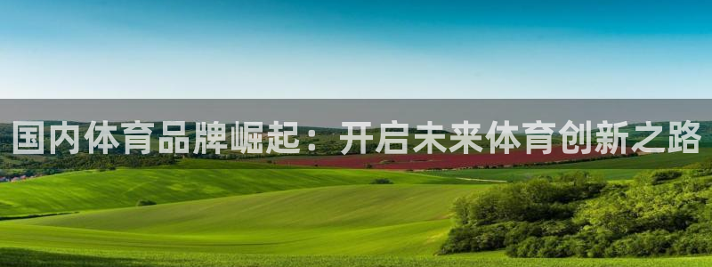 98体育官网：国内体育品牌崛起：开启未来体育创新之路