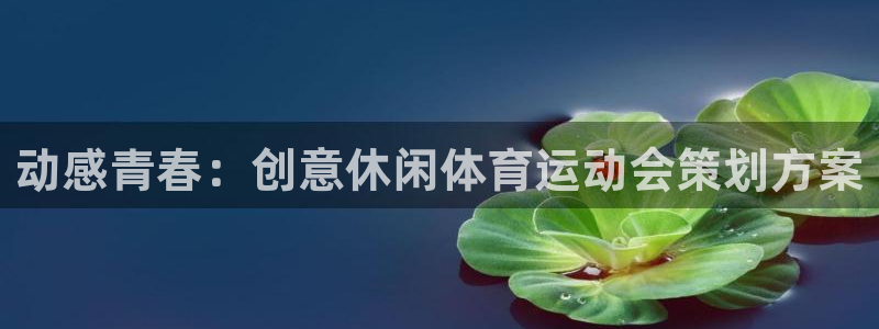 拳皇98体育队：动感青春：创意休闲体育运动会策划方案