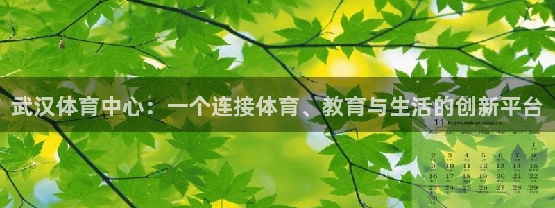 98体育篮球直播