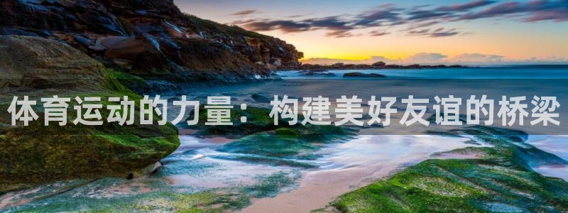 拳皇98体育队：体育运动的力量：构建美好友谊的桥梁